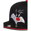 cepur-plakana-melns-snapback-space-jam-no-difuzed