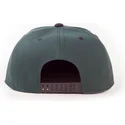 cap-plakana-green-snapback-no-difuzed