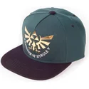 cap-plakana-green-snapback-no-difuzed