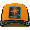 gorra-trucker-naranja-y-negra-estrella-de-mar-baby-i-m-a-star-the-farm-de-goorin-bros