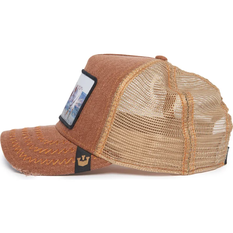 cap-izliekta-brown-snapback-the-farm-no-goorin-bros