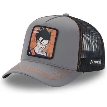Cap izliekta gray snapback Son Gohan Dragon Ball no Capslab