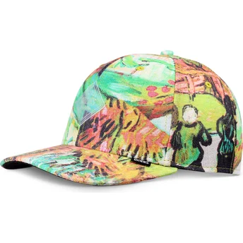 Böjd flerfärgad snapback-keps TrueFit Painting från Djinns