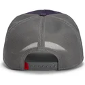 cap-izliekta-violet-snapback-goorin-bros-beat-dead-horse-horse-play-the-farm-purple-hat-the-farm-no-goorin-bros
