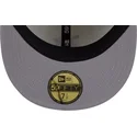 czapka-plaska-bezowo-fioletowa-dopasowana-59fifty-clr-dvlp-detroit-tigers-mlb-new-era