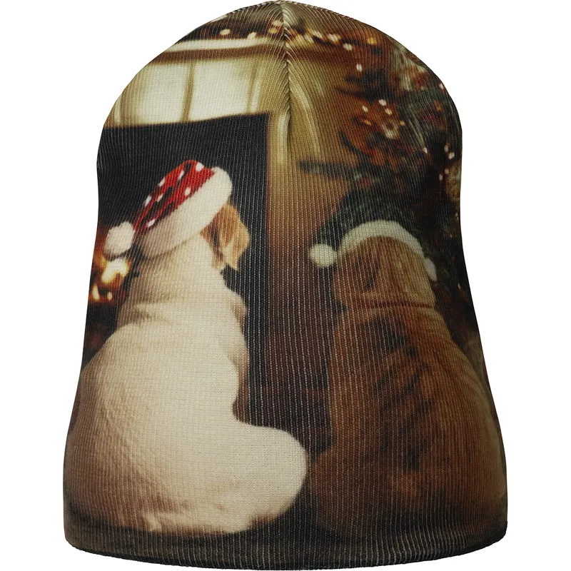 wielokolorowa-czapka-holiday-rev-buddy-black-od-kangol