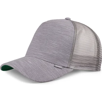Cap izliekta gray snapback no Djinns