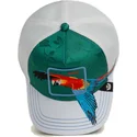 cepur-izliekta-zals-snapback-guapo-honduras-macaw-the-farm-no-goorin-bros