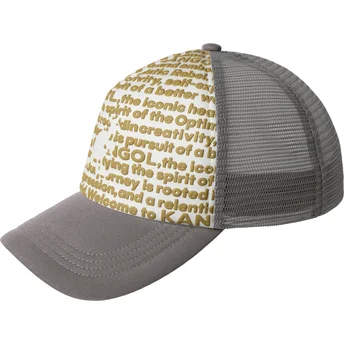 Cepur izliekta šoferis pelēks snapback Fine Print no Kangol