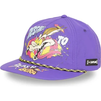 Cap plakana violet snapback Coyote Looney Tunes no Capslab