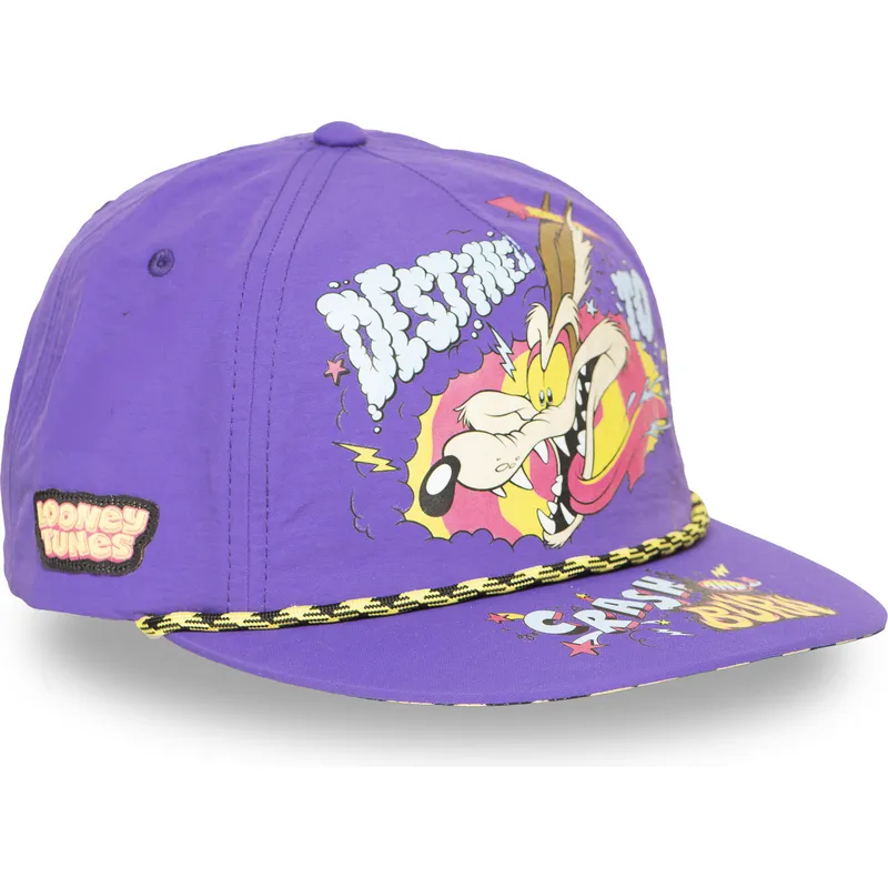 casquette-plate-violette-snapback-coyote-loo13-dtcb-looney-tunes-capslab