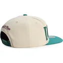 mitchell-ness-flat-brim-across-the-board-anaheim-ducks-nhl-green-and-beige-snapback-cap