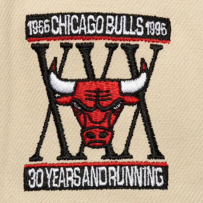 cap-plakana-black-snapback-across-the-board-no-chicago-bulls-nba-no-mitchell-ness