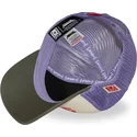 cap-izliekta-multicolor-snapback-po-kung-fu-panda-no-capslab