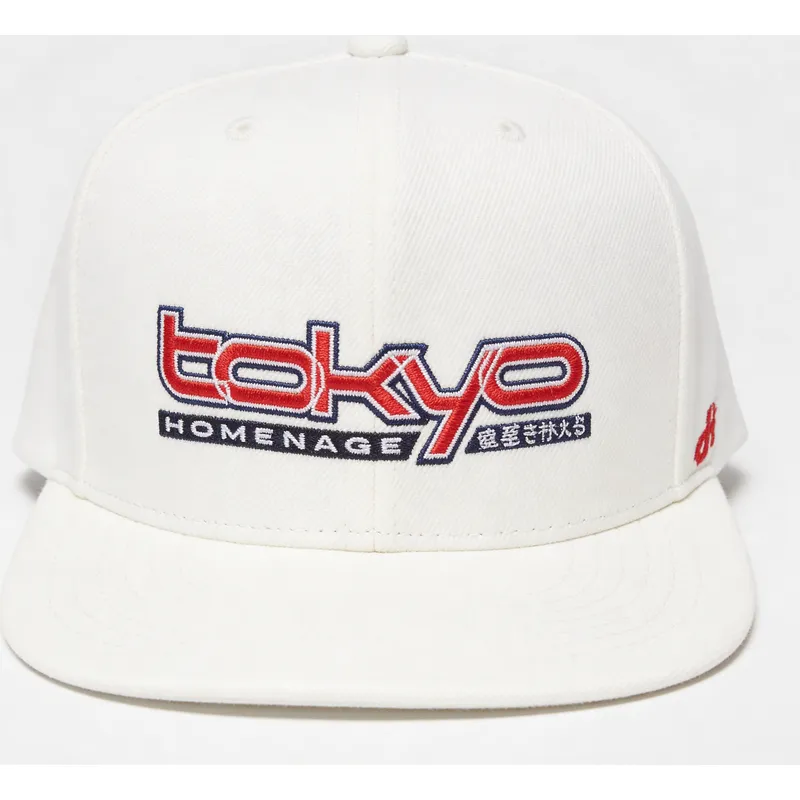 homenage-flat-brim-tkysky-skylines-the-snap-cream-snapback-cap