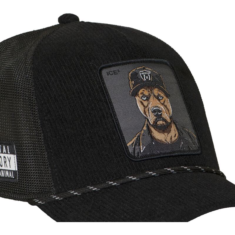 cap-izliekta-black-snapback-hip-hop-dogz-no-capslab cap-izliekta-black-snapback-hip-hop-dogz-no-capslab
