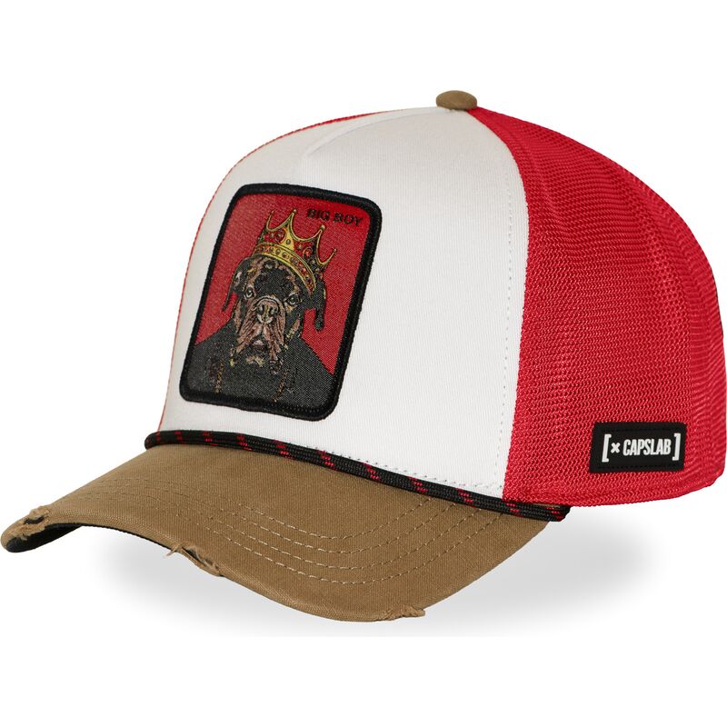 cap-izliekta-multicolor-snapback-hip-hop-dogz-no-capslab