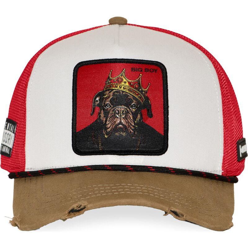 cepur-izliekta-truckeris-daudzkrasains-snapback-big-boy-bigb-hip-hop-dogz-no-capslab