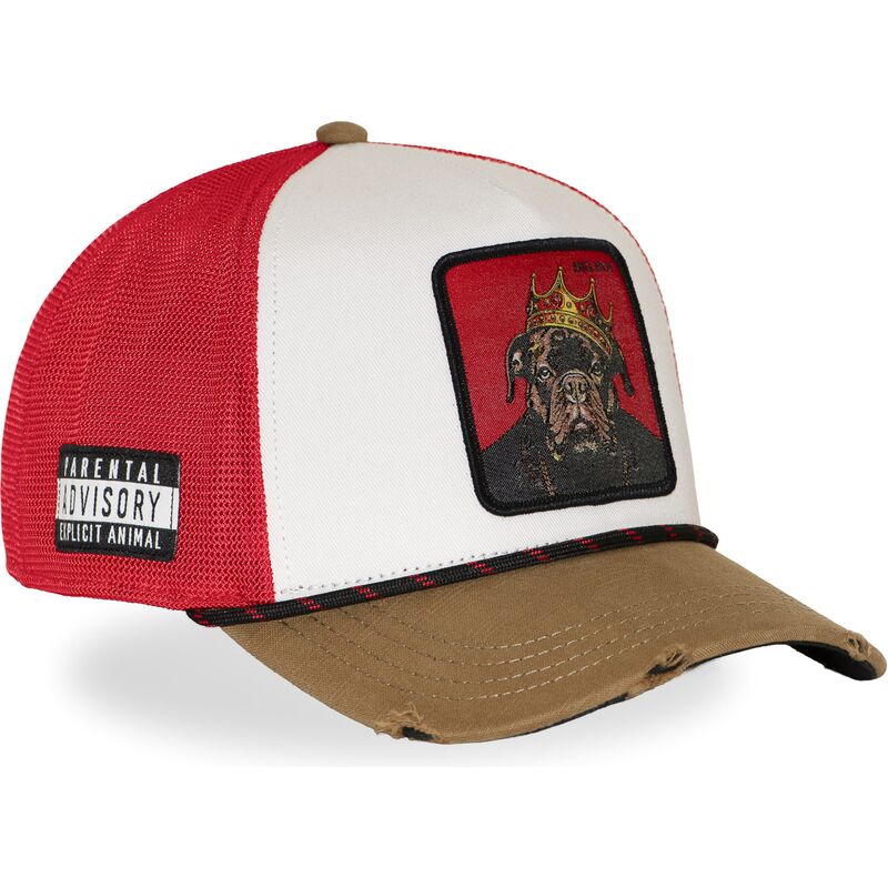 cap-izliekta-multicolor-snapback-hip-hop-dogz-no-capslab