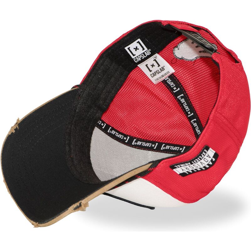 cap-izliekta-multicolor-snapback-hip-hop-dogz-no-capslab