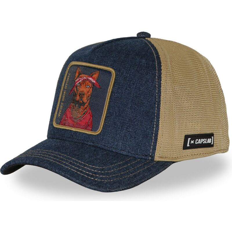 cap-izliekta-multicolor-snapback-hip-hop-dogz-no-capslab